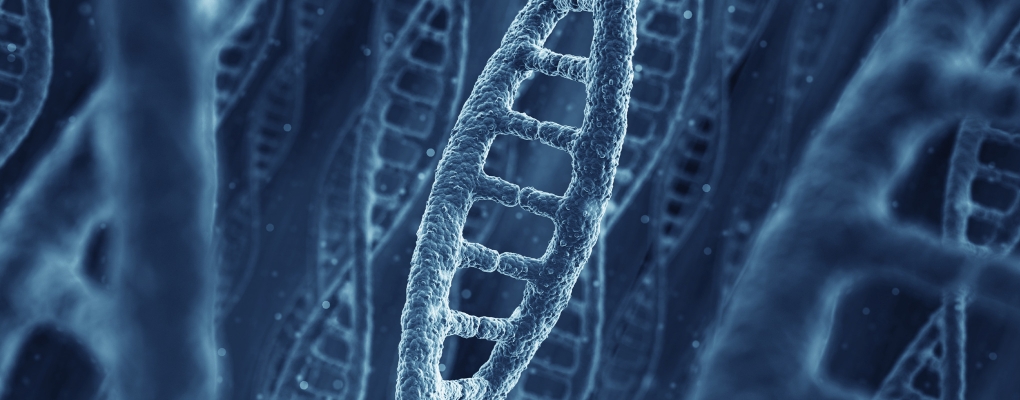 Epigenetic Mechanisms of Long-term Memory