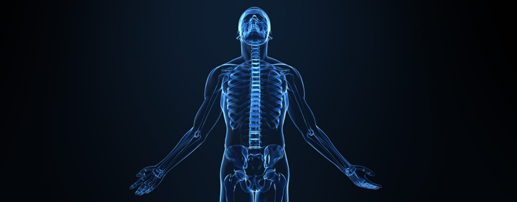 How Not to Get Old - Part III: The Musculoskeletal System