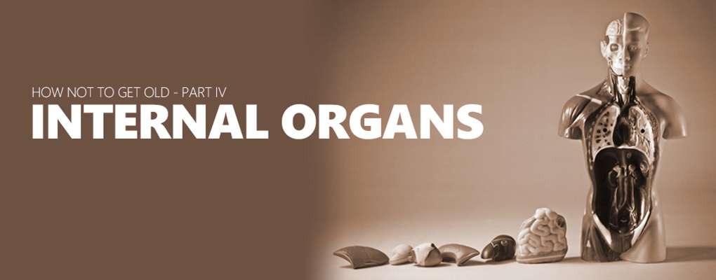 How Not to Get Old - Part IV: Internal Organs