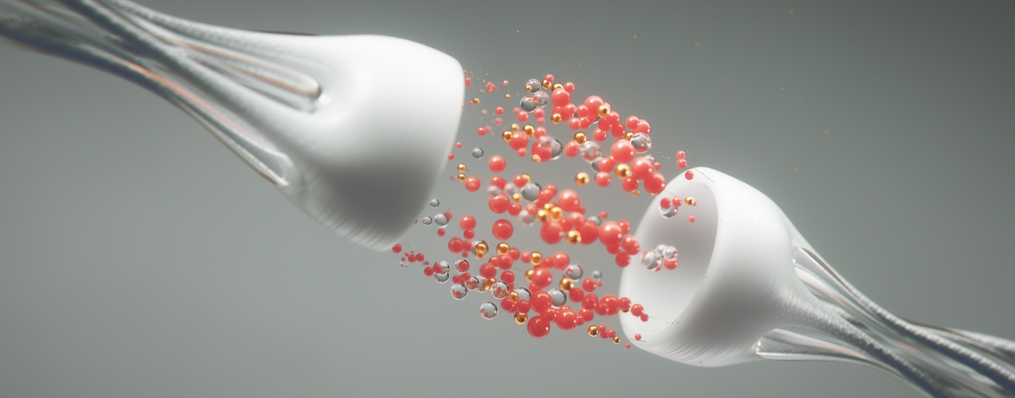 Understanding the Brain From a Neurotransmitter Perspective