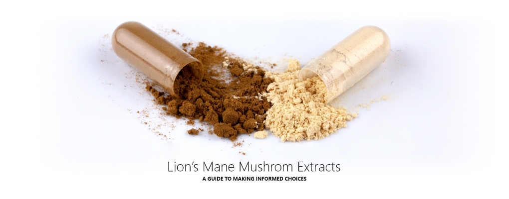 Our Guide to the Best Lions Mane Mushroom Extract Supplements in the UK